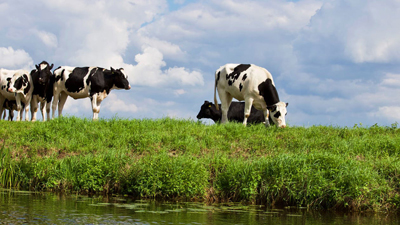 wassseraufbereitung-landwirtschaft-nitrat-400px